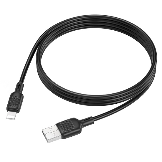Кабель USB <--> Lightning  1.0м BOROFONE BX113 Black 2