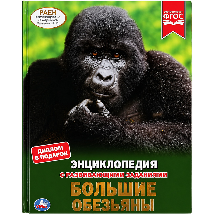 Книга "Умка" Большие обезьяны (Энциклопедия с с развивающими заданиями А4)