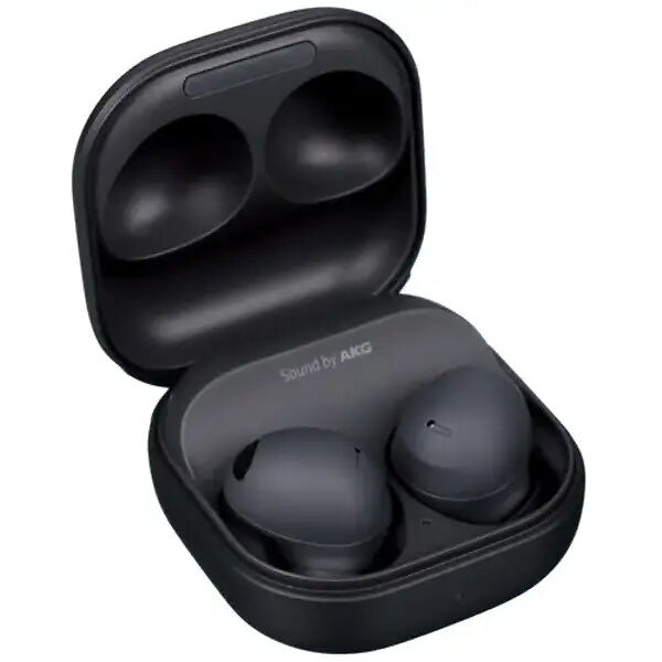 Наушники Samsung Galaxy Buds 2 Pro (R510) графитовый 2