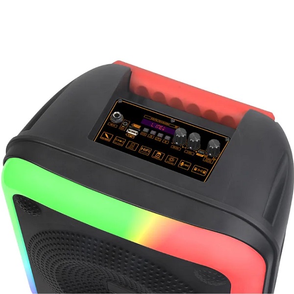 Колонка портативная NDR-W0012 черная 2