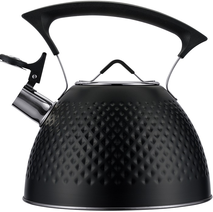 Чайник со свистком REGENT Linea TEA 78-002, 3л 2