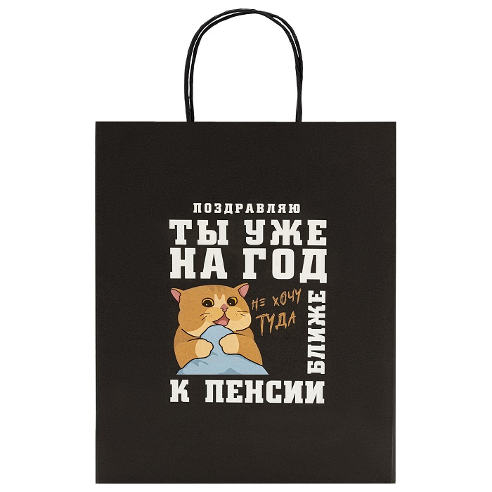 Пакет 26х13х32см (L) "Funny Notes",МИКС ЗОЛОТАЯ СКАЗКА, 700824 2