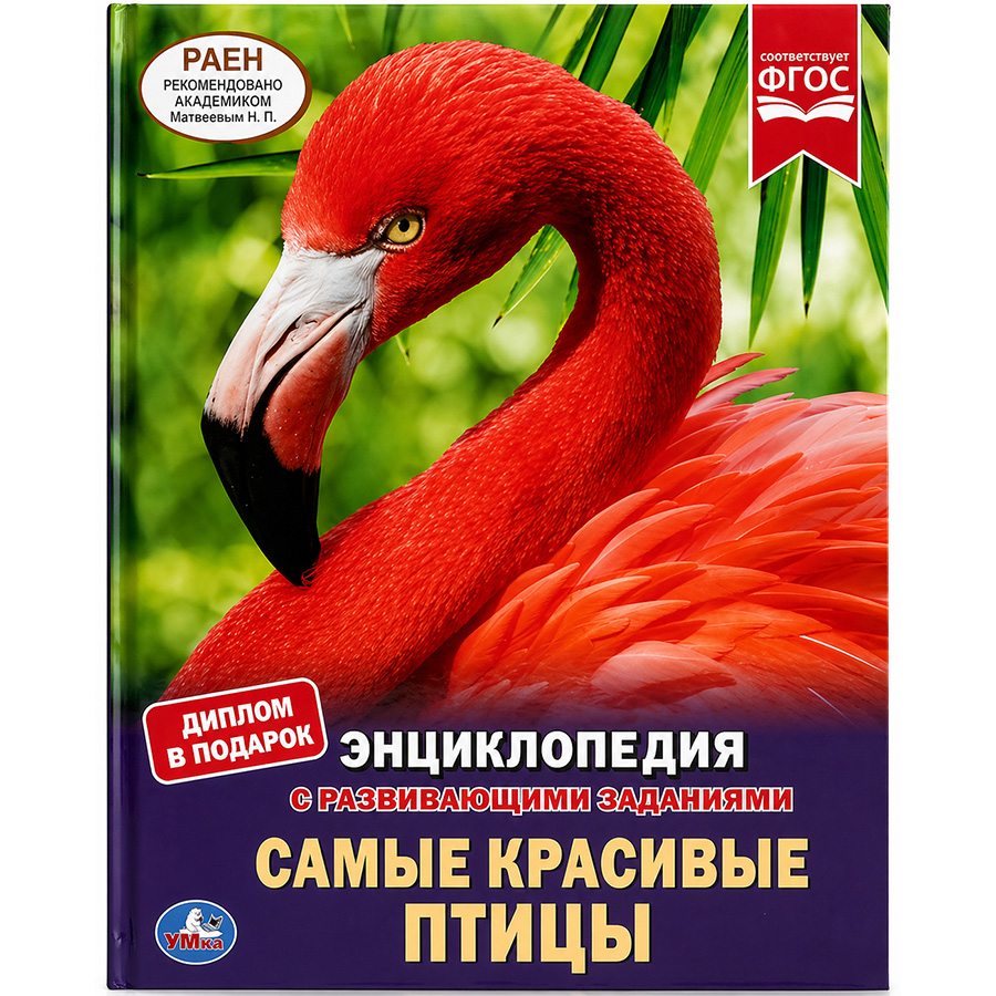 Книга "Умка". Самые красивые птицы (Энциклопедия А4). тверд перепл. бумага мелованн. 130Г.